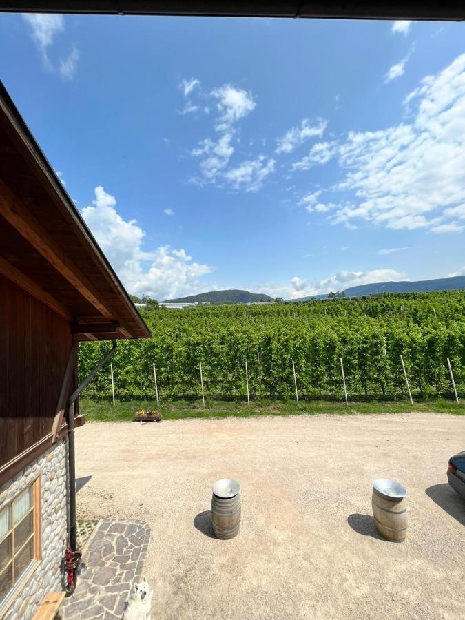 Agritur Maso Forcola Villa Brez Exterior foto